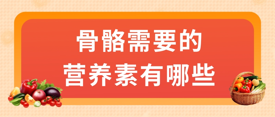 骨骼需要的營養(yǎng)素有哪些？